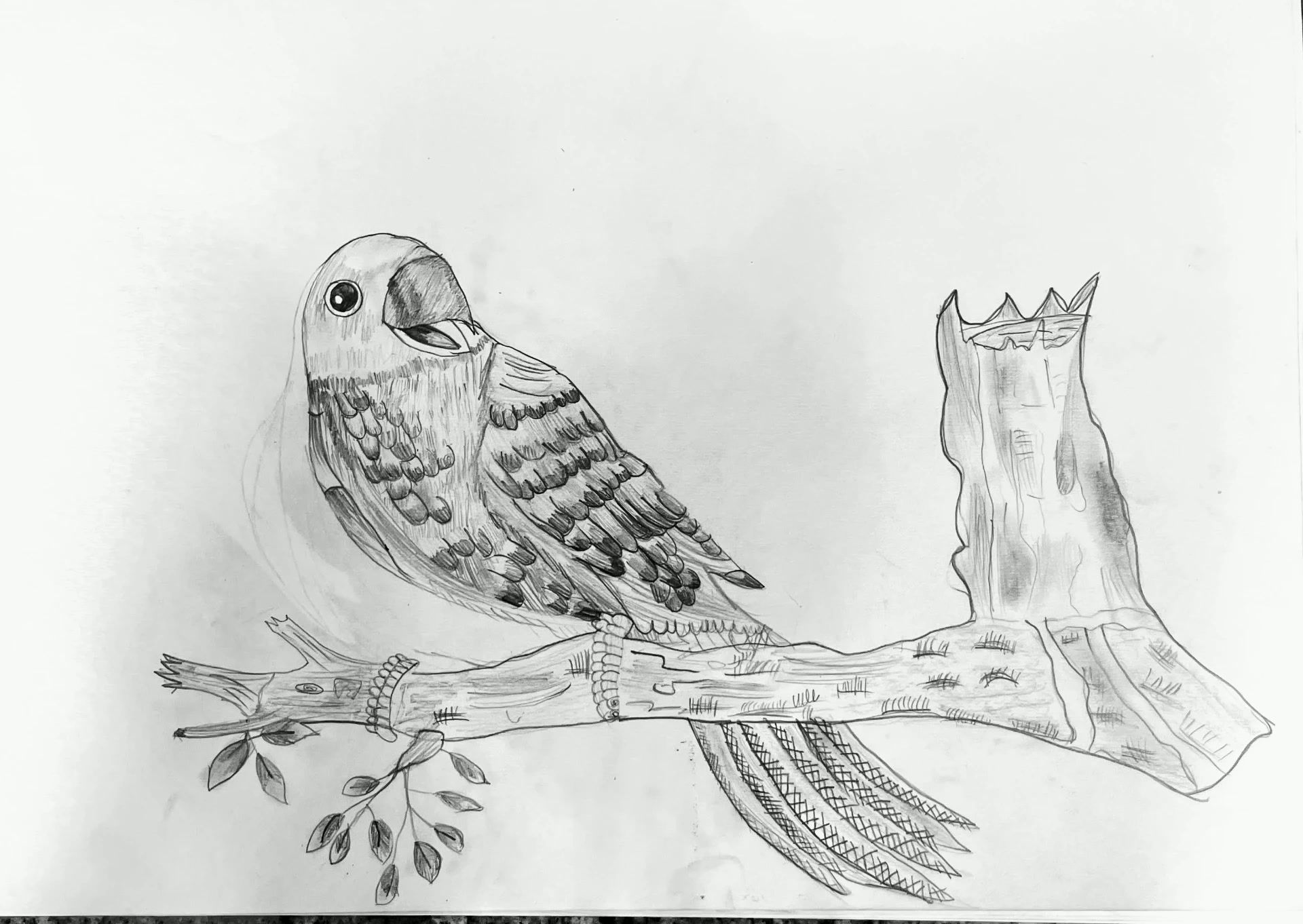 Woodland Song